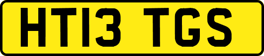 HT13TGS