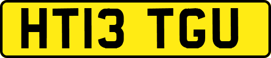 HT13TGU