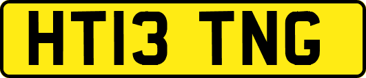 HT13TNG