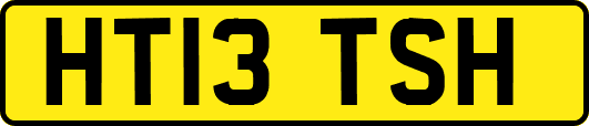 HT13TSH