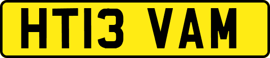 HT13VAM