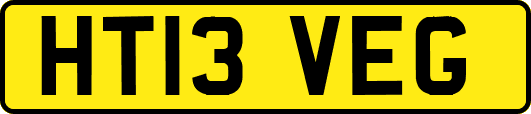 HT13VEG