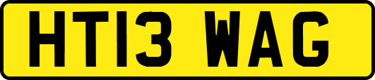 HT13WAG