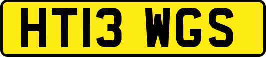HT13WGS
