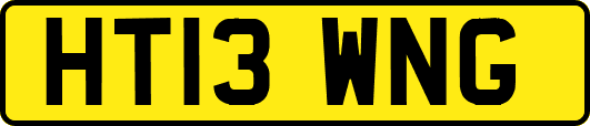 HT13WNG