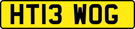 HT13WOG