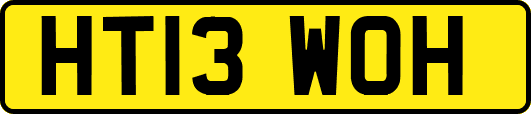 HT13WOH