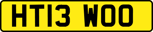 HT13WOO