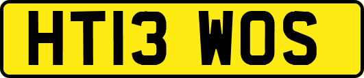 HT13WOS