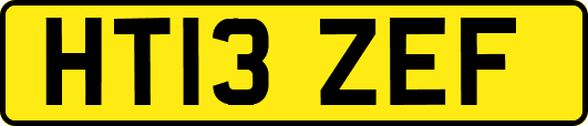 HT13ZEF
