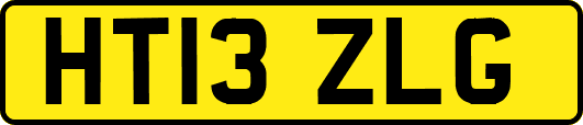 HT13ZLG
