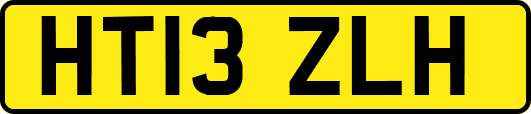 HT13ZLH