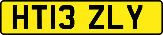 HT13ZLY