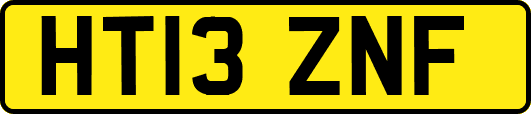 HT13ZNF