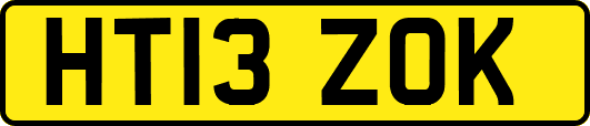 HT13ZOK