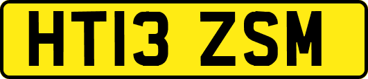 HT13ZSM