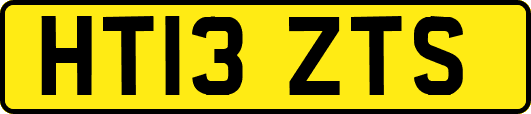 HT13ZTS