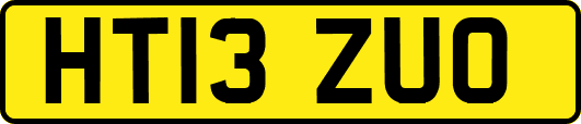 HT13ZUO