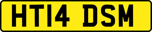 HT14DSM