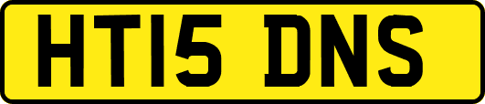 HT15DNS
