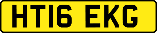 HT16EKG
