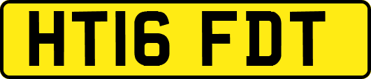 HT16FDT