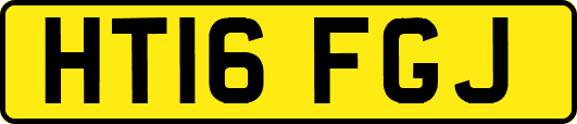 HT16FGJ