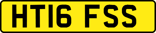 HT16FSS