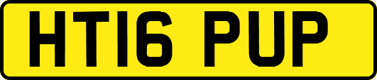 HT16PUP
