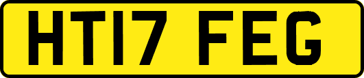 HT17FEG