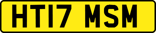 HT17MSM
