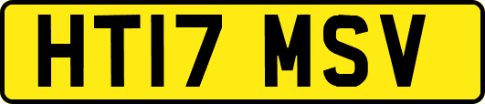 HT17MSV