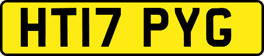 HT17PYG