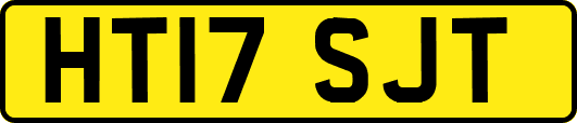 HT17SJT