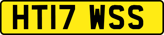 HT17WSS