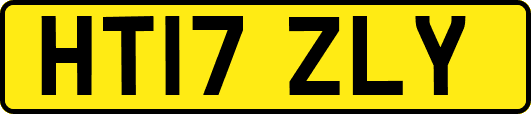 HT17ZLY