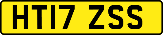 HT17ZSS
