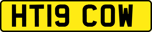 HT19COW