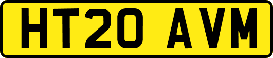 HT20AVM