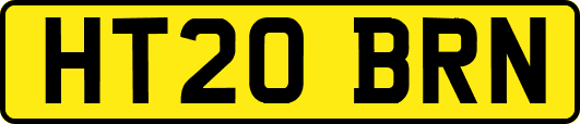 HT20BRN