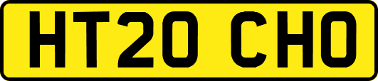 HT20CHO