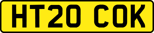 HT20COK