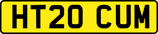 HT20CUM
