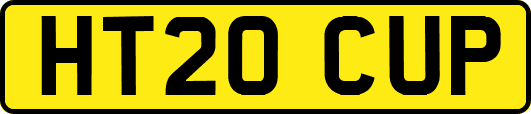 HT20CUP