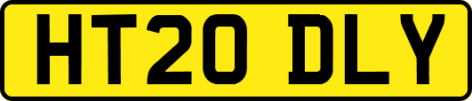 HT20DLY