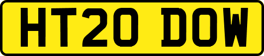 HT20DOW