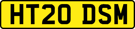 HT20DSM