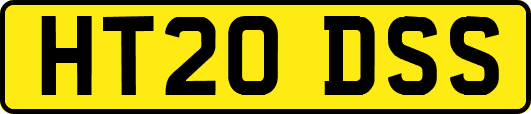 HT20DSS
