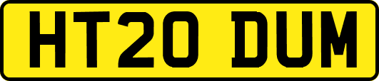 HT20DUM