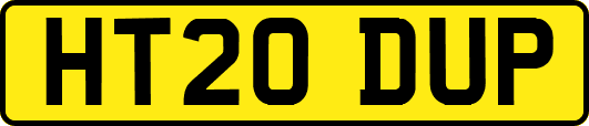 HT20DUP